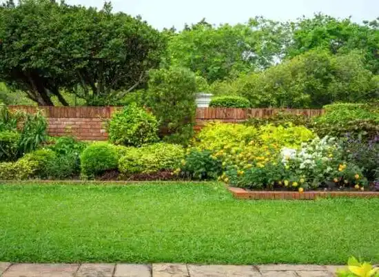 landscaping services Bosque Farms